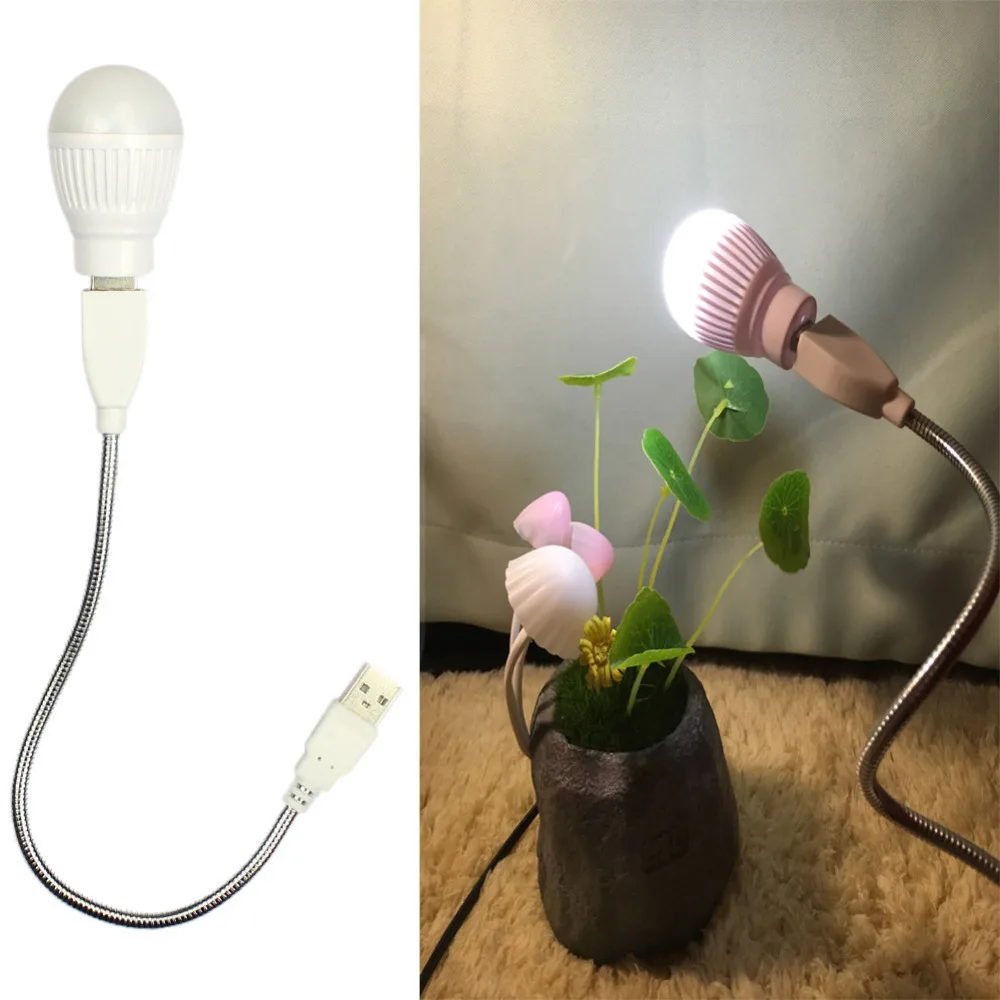 3184962064_721131381