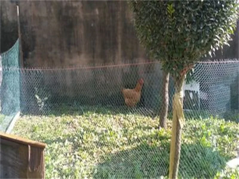 10 м синий пластиковый сетки оптом забор сетка завод лозы восхождение чистая забор сетка птицеводства фазан курица забор