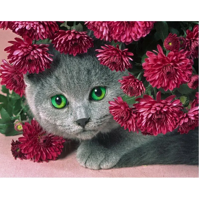 

5d Diy round Diamond Painting Cross Stitch Mosaic Diamond Embroidery flowers cat Point square Diamond Painting Craft Decor v2507