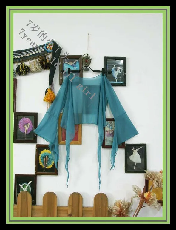 

Belly dance top Transparent thin Belly Dance 7 furcal flare Blouse Top CF64