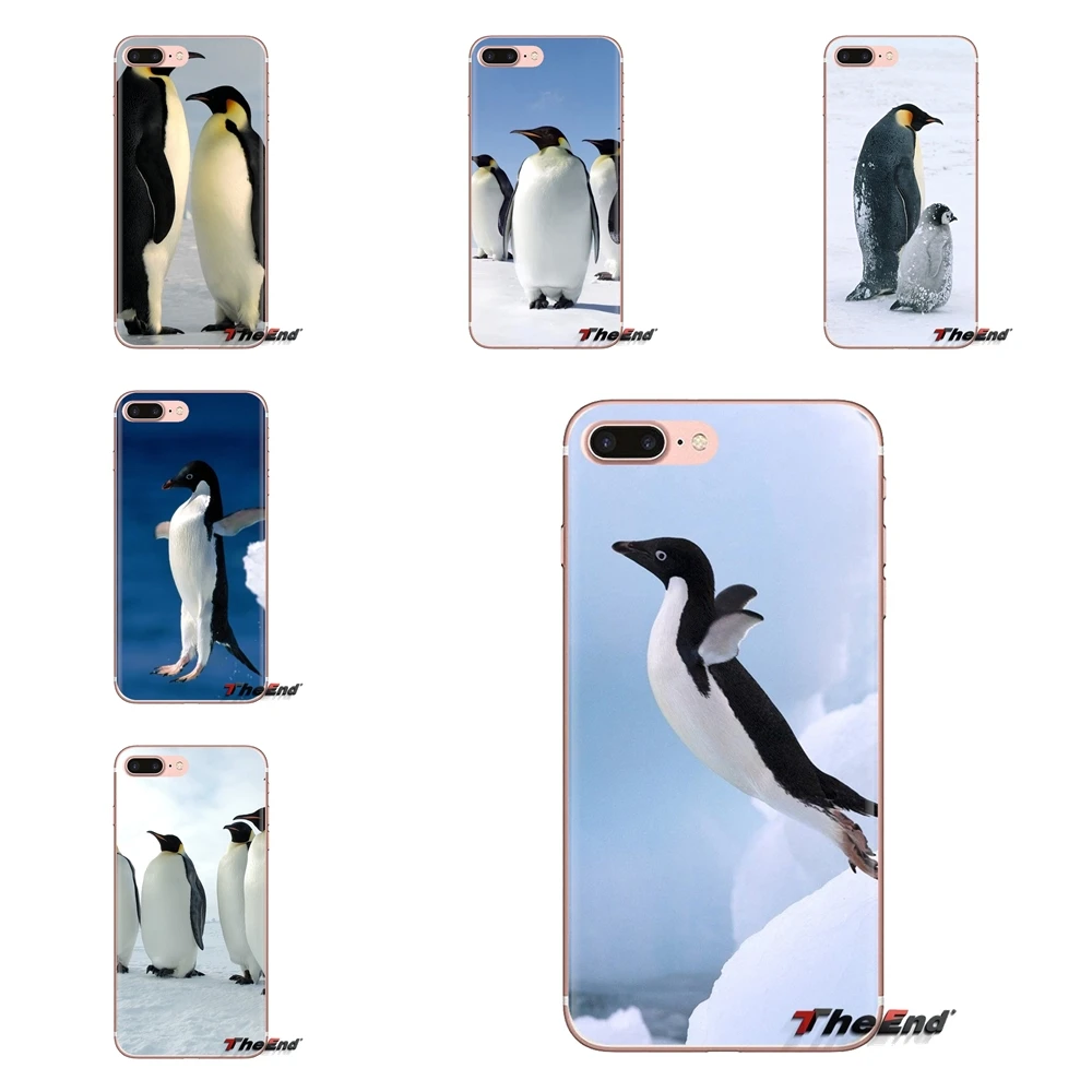 ベビーペンギン壁紙 Ipod Touch の Apple の Iphone 4 4 S 5 5 S Se 5c 6 6 S 7 8 Xr Xs プラス最大透明ソフトケースカバー Fitted Cases Aliexpress