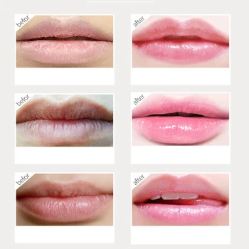 

2018 New Natural Honey Hyaluronic Acid Moisturizing Lipstick Anti-Dry Wrinkle Repair For Woman Winter Lip Care Pro