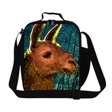 2 2015 New Hot Variety Pattern Lunch Bag Lunchbox Women Handbag Waterproof Picnic Bag Neoprene Lunch Bag For Kids Adult