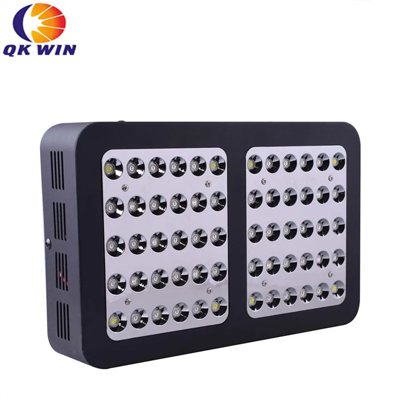 R600W (63)