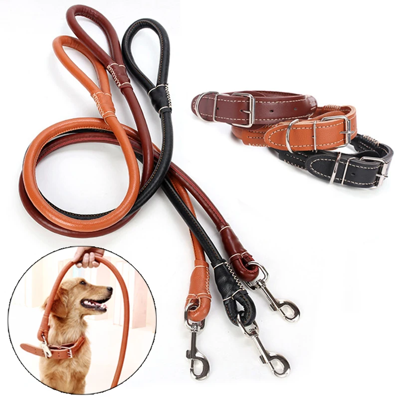 puppy dog collar and lead