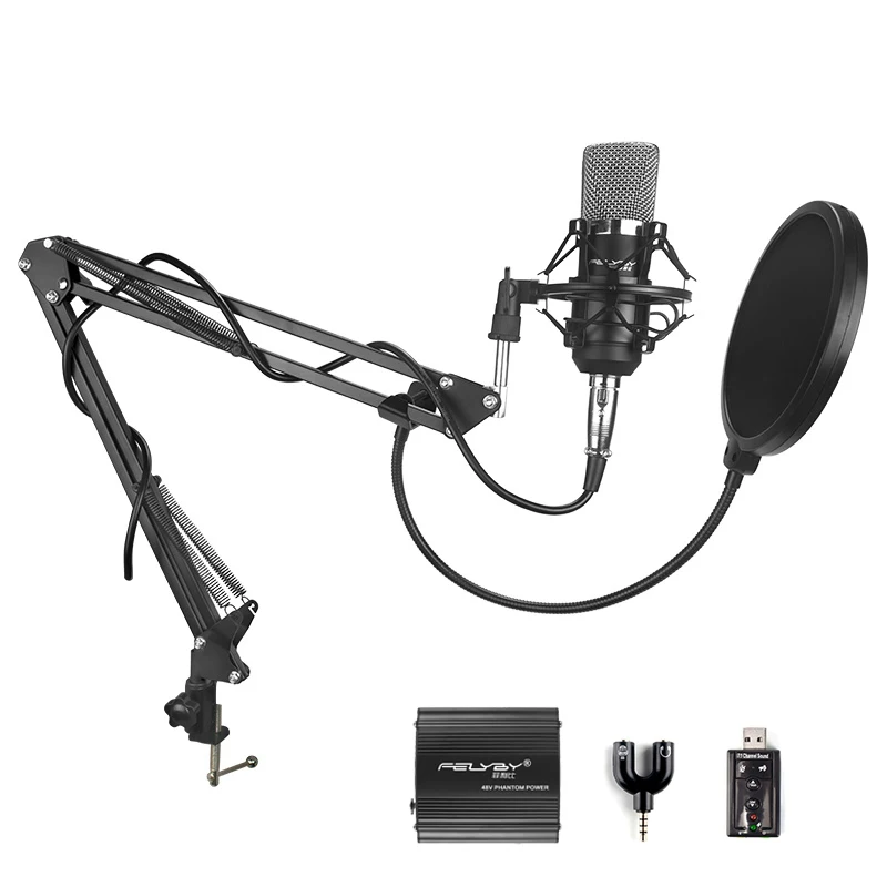 FELYBY аудио комплект bm 700 модный конденсаторный микрофон для компьютера караоке микрофоны запись студия профессиональный микрофон - Цвет: Style 5