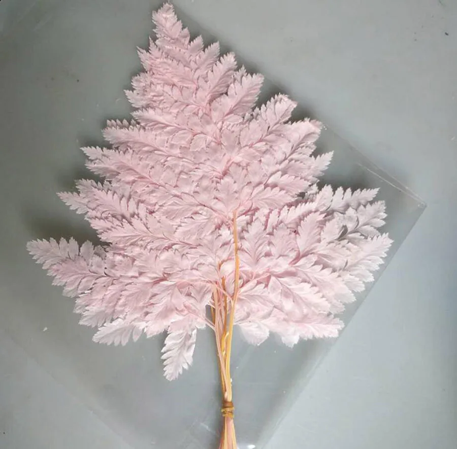 --light pink