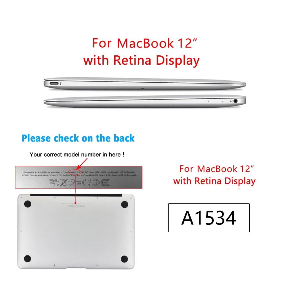 12 retina