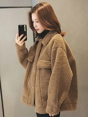 Меховая куртка зимняя новая женская плюшевая одежда короткая женская куртка теплая овечья шерсть куртка женское шерстяные пальто - Цвет: brown