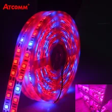 LED Фито Лампа Полосы Света SMD 5050 5 М Полный Спектр растут Огни DC 12 В Fitolampy Лампы Для Растений Семена Цветов Освещения