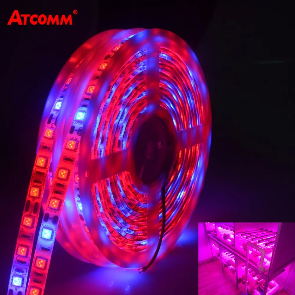 LED Фито Лампа Полосы Света SMD 5050 5 М Полный Спектр растут Огни DC 12 В Fitolampy Лампы Для