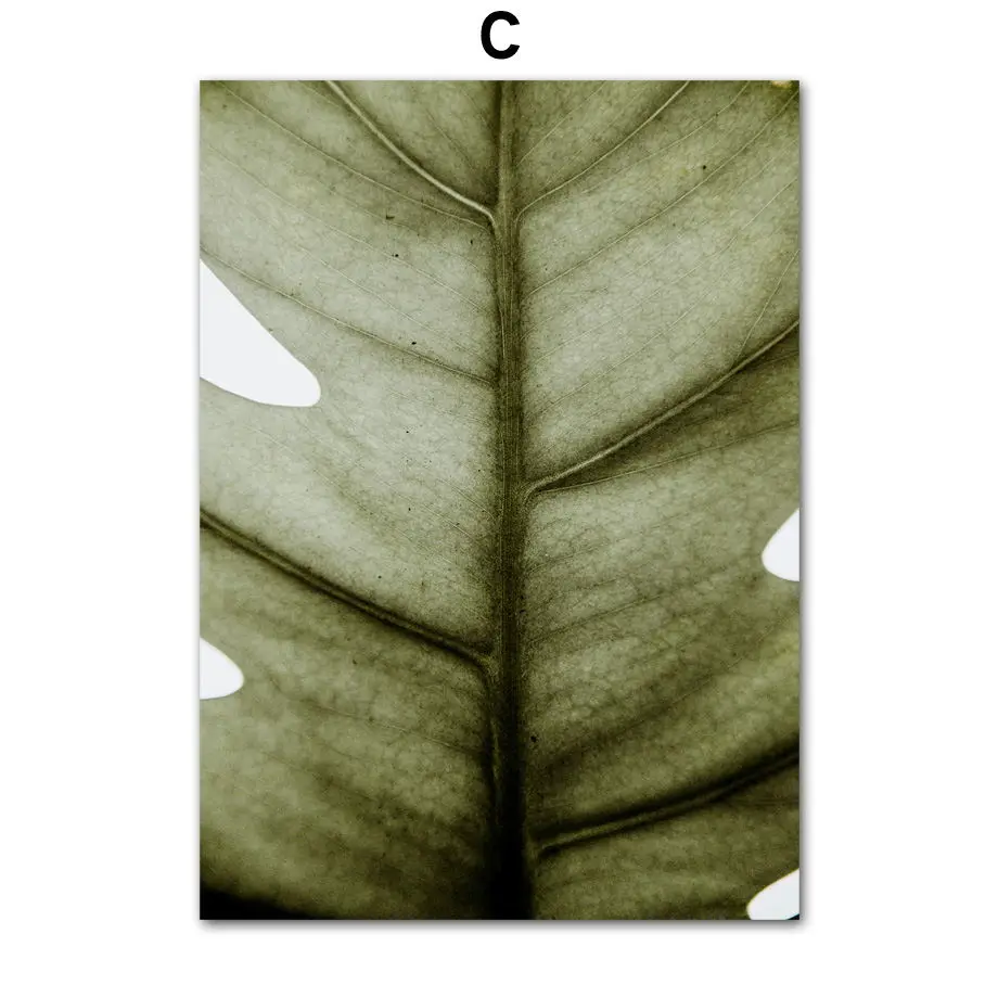 Зеленое растение монстера банановый лист цитаты настенные художественные картины на холсте скандинавские плакаты и принты настенные картины для декора гостиной - Цвет: C