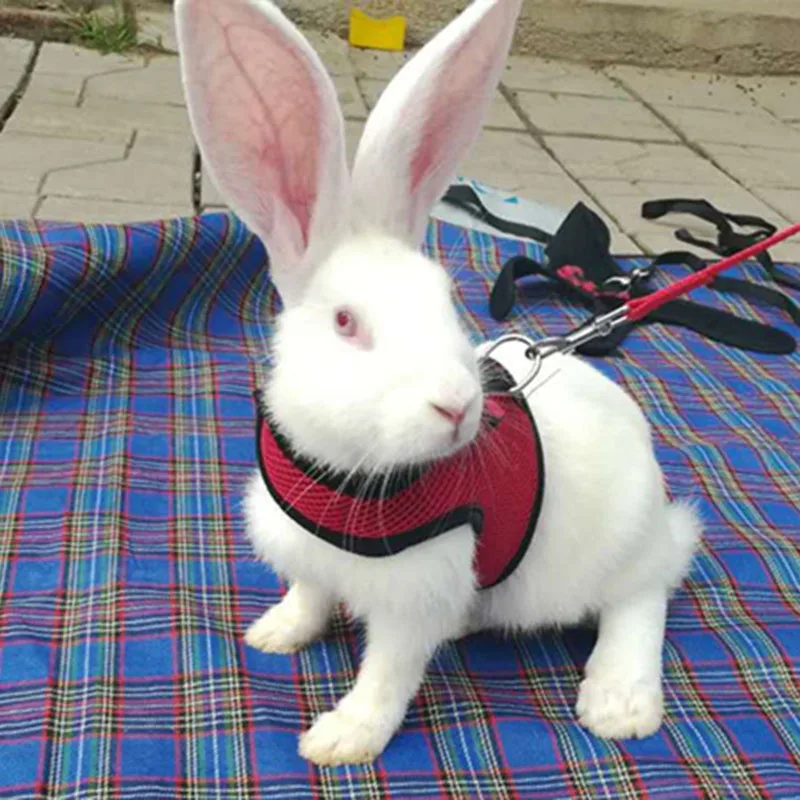 

Pet Mesh Soft Harness With Leash Small Animal Vest Lead for Hamster Rabbit Bunny LBShipping
