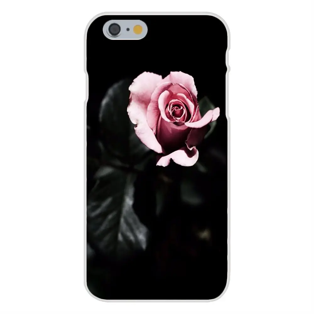 20140901182617_rLrZ2.thumb.700_0