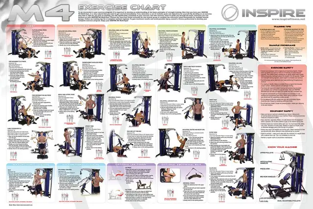 f1852 16 x24 human trainer exercise chart suspension gym workouts