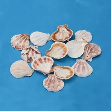 Спиральные бусины ракушки и морские для изготовления модных