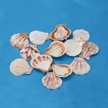 

Spiral Shell Beads Clam Shell and Sea Shell Bead for Fashion jewelry making DIY bracelet necklace earring Accessories F60