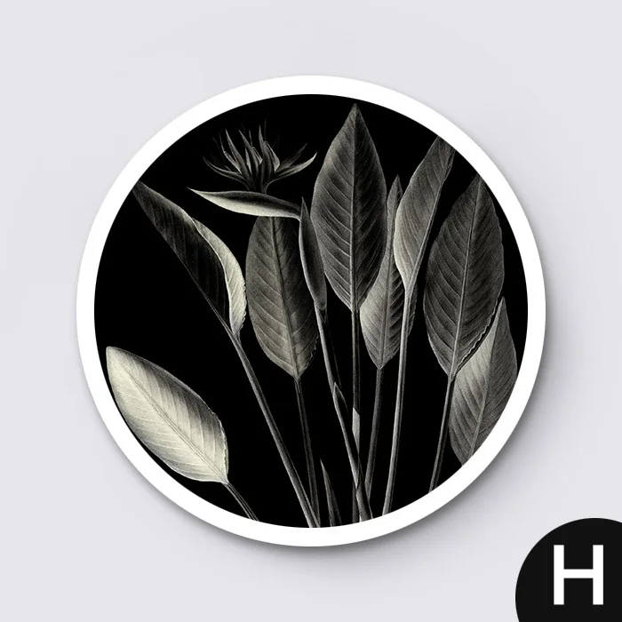 HAOCHU Скандинавская Картина на холсте Черно-белое растение круглый декоративный плакат простой современный подвесной и ресторанный скандинавский настенный арт - Цвет: H