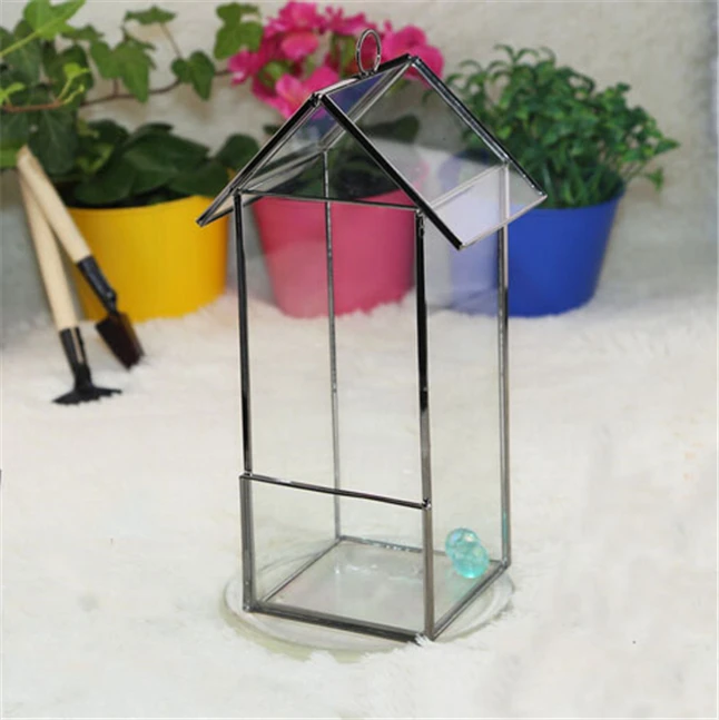 Glass Terrarium5.jpg
