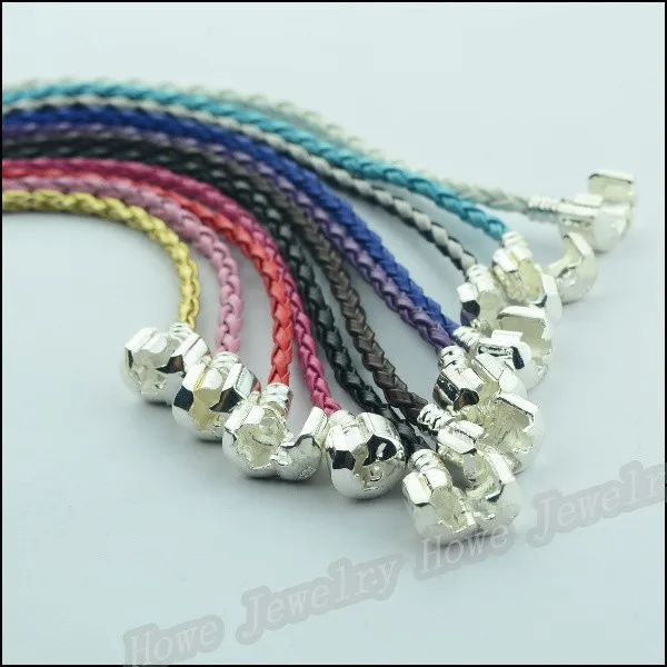 DSC_0028