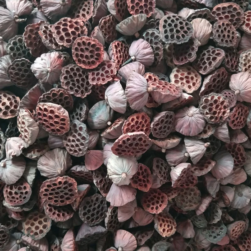 Slide image 846da6f2a9014775b1abc00826f81bd7