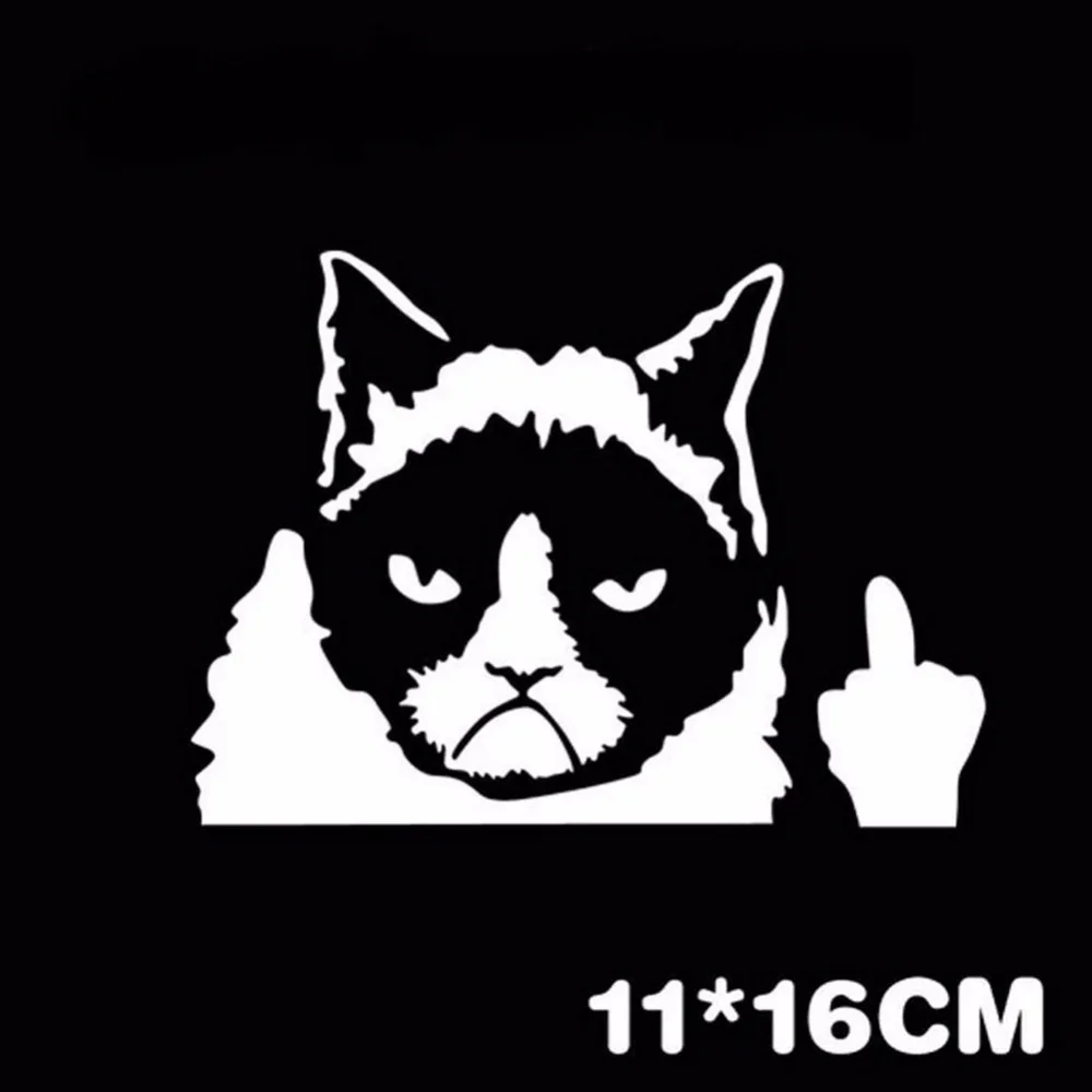HTB1qhjnNpXXXXa5XXXXq6xXFXXXz