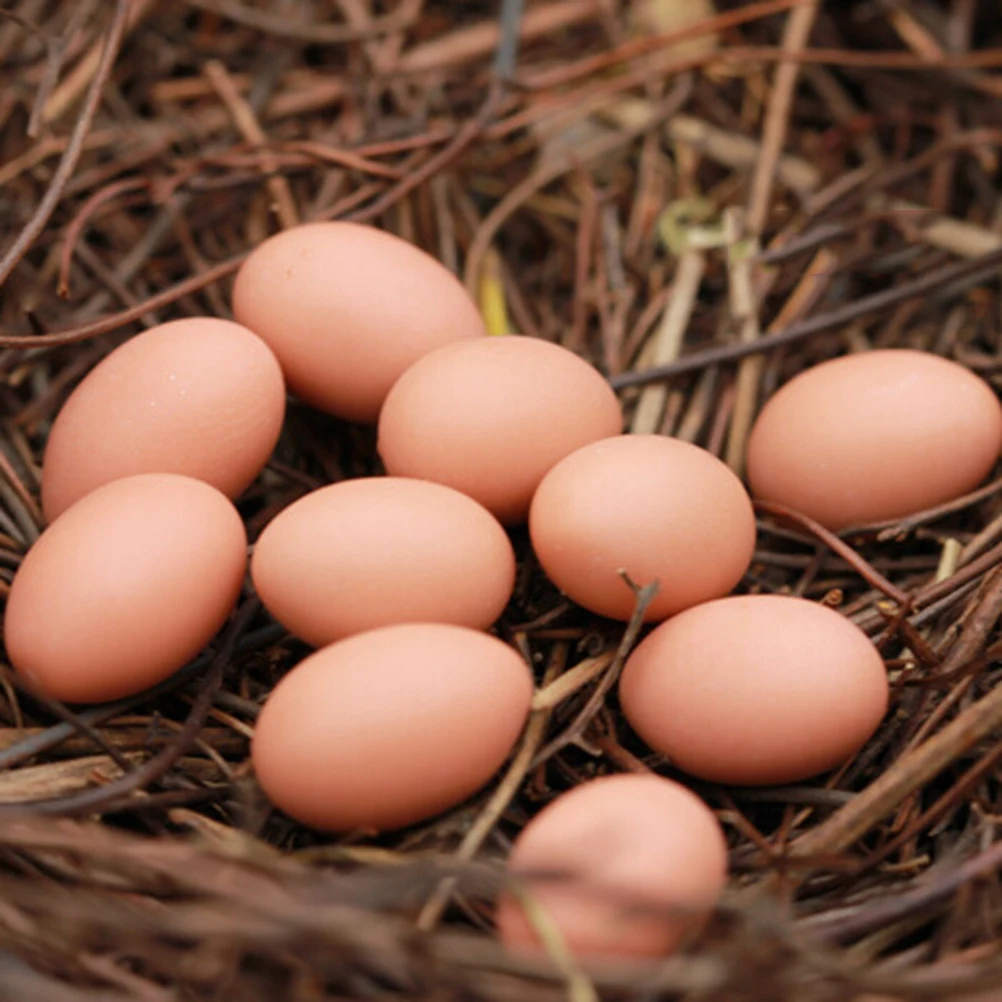 6 шт мини-яйца 1 гнездо Сказочный Сад, миниатюра фигурка игрушки поделки DIY аксессуары Искусственные Птицы гнездо искусственные яйца