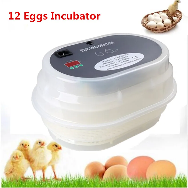 Poultry Auto Hatcher Machine 12 Eggs Chicken Incubator Chicken Hatching