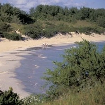 View of Horseshoe Bay  Bermuda  Caribbean Poster Print by Robin Hill (36 x 24)