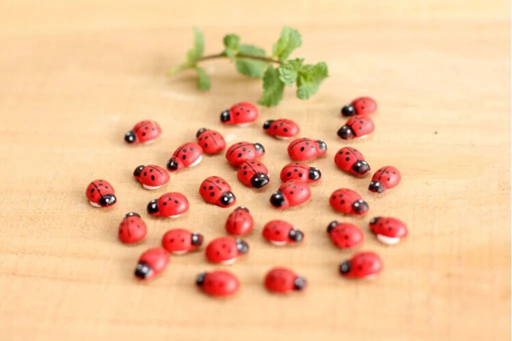 100x Miniature Dollhouse Bonsai Craft Garden Landscape Wooden Ladybug Decor
