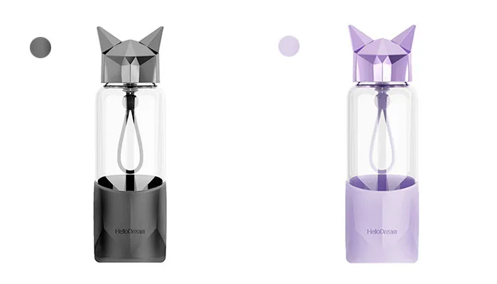 Glass Water Bottle (20)