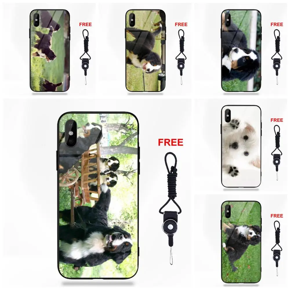 

For Apple iPhone 5 5C 5S SE 6 6S 7 8 Plus X XS Max XR Soft TPU Frame+Tempered Glass Print Case Bernese Mountain Dog Puppy