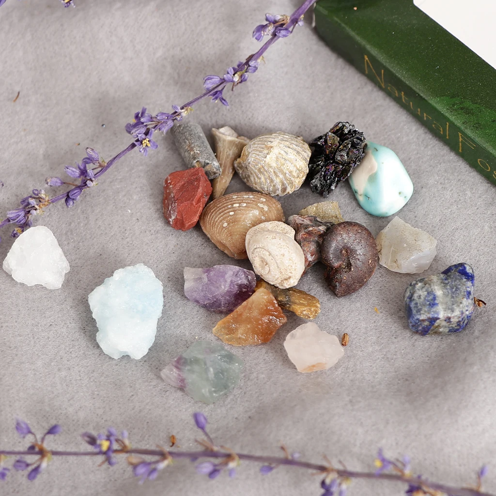 Rock & Mineral Collection GN201 Geology Science Kit Earth Science Toy - Pack Of 20