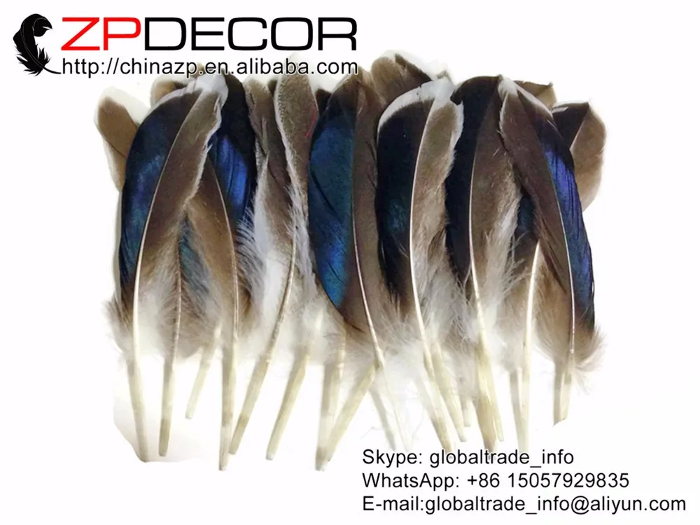 USA Real Feathers, 1 4 lb - Iridescent BLUE MIX Mallard Duck Wing Wholesale Feathers (bulk) 2