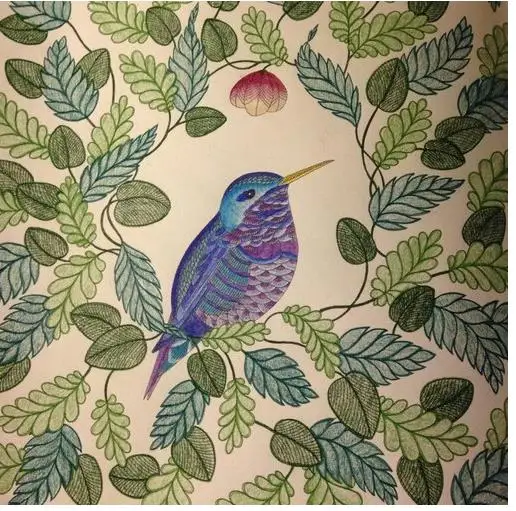 Online Shop 24 Pages Animal Kingdom English Edition Antistress Coloring Book For Children Adults Graffiti Painting Drawing Art