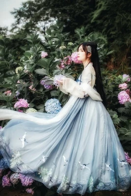 Hanfu женское китайское платье, китайский древний костюм сказочной принцессы, традиционное женское платье hanfu и костюм для девочек tang - Цвет: 3