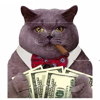 

5D DIY Diamond Painting Cat With Cash Full Square 3D Diamond Embroidery Cross Stitch Cat Dollars Cigar Needlework Mosaic Kit