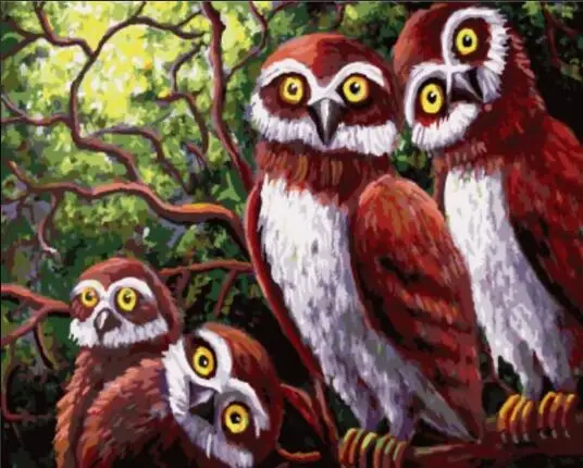 Космическая сова adventure time. Owls time. Картина сова. Сова на ветке. Четыре совы.