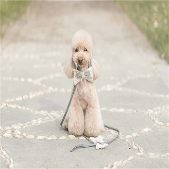 

Princess Style Diamond Pet Dog Harness Leash Set Dog Vest for Small Dogs Bow Tie Puppy Harness Princess Chest Strap For Teddy