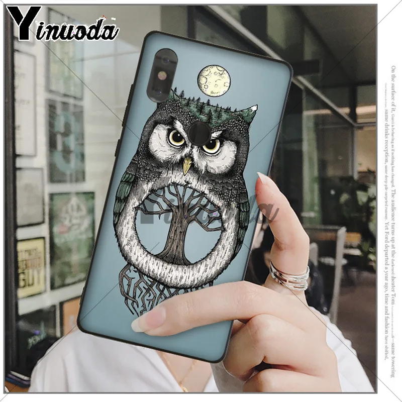 Animal Night Owl 