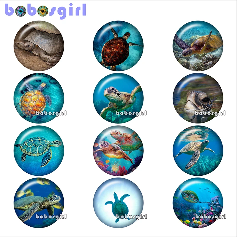 Черепашки Ниндзя океан стекло кнопки ювелирных украшений Hand-Made Круглый Фото