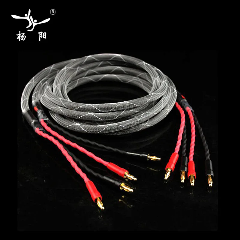Кабель для динамика YYAUDIO Hifi типа банан с разъемом провод из чистой меди 4N вилками