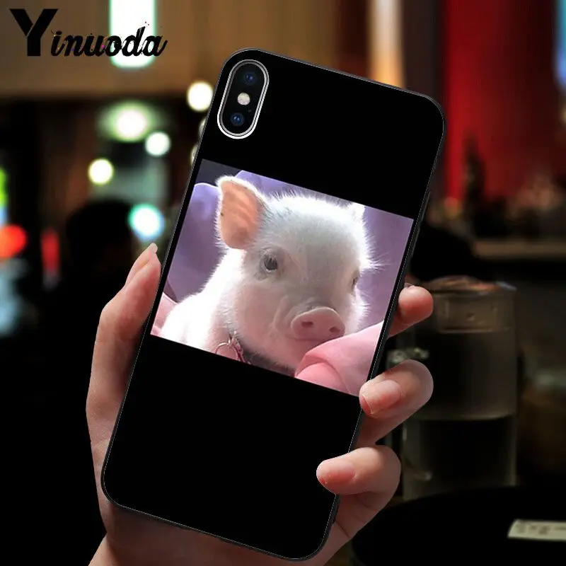 Cute Pig Print 