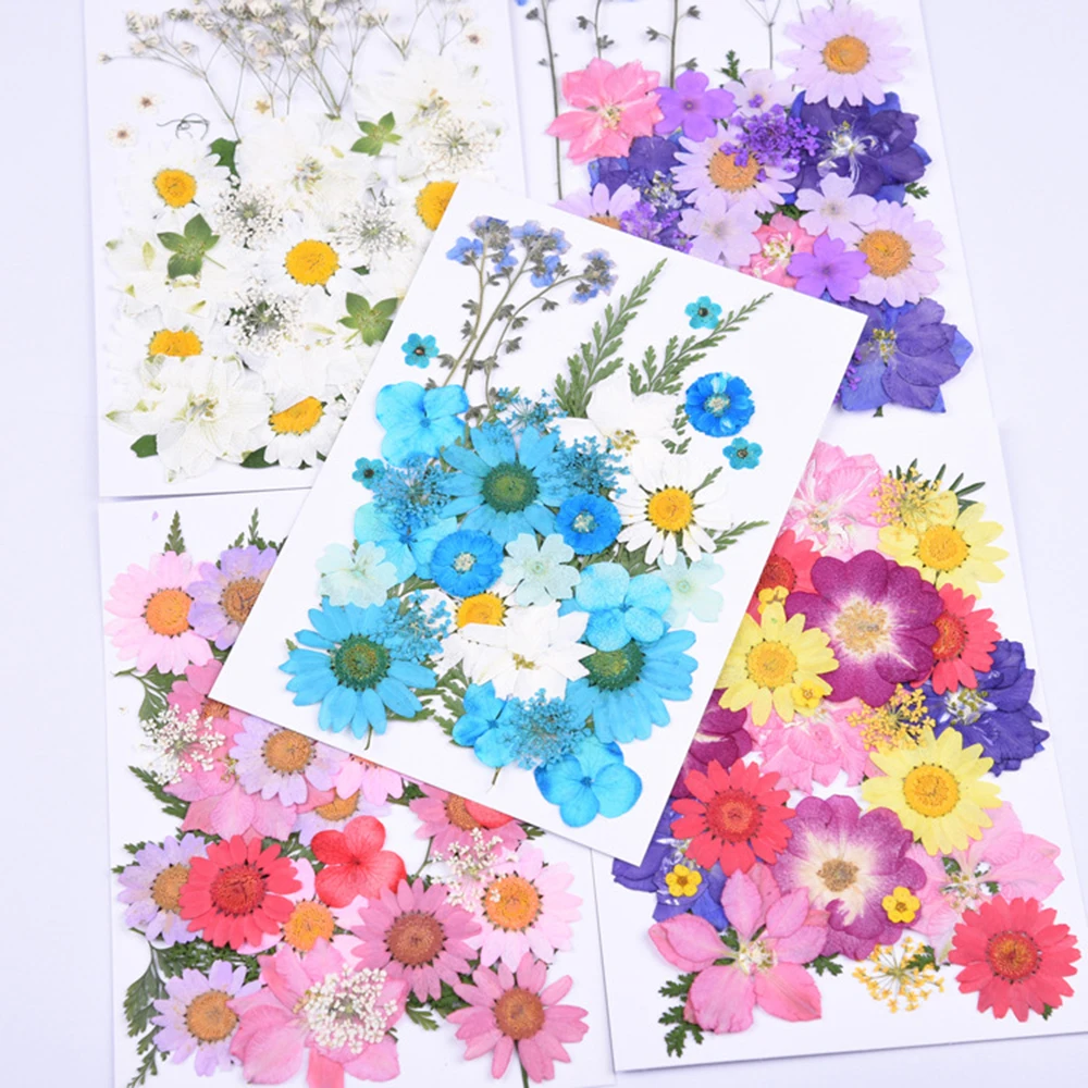 

1Pcs Dried Daisy Real Flower Material Flower For Epoxy Pendant Necklace Jewelry Making Craft Phone Case DIY Nail Accessories