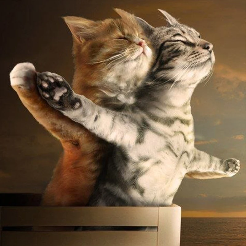 

Diamond Embroidery Cross Stitch Needlework Full Round 5D Diy Diamond Painting Animal Titanic Cat Home Decoration Mosaic Painting