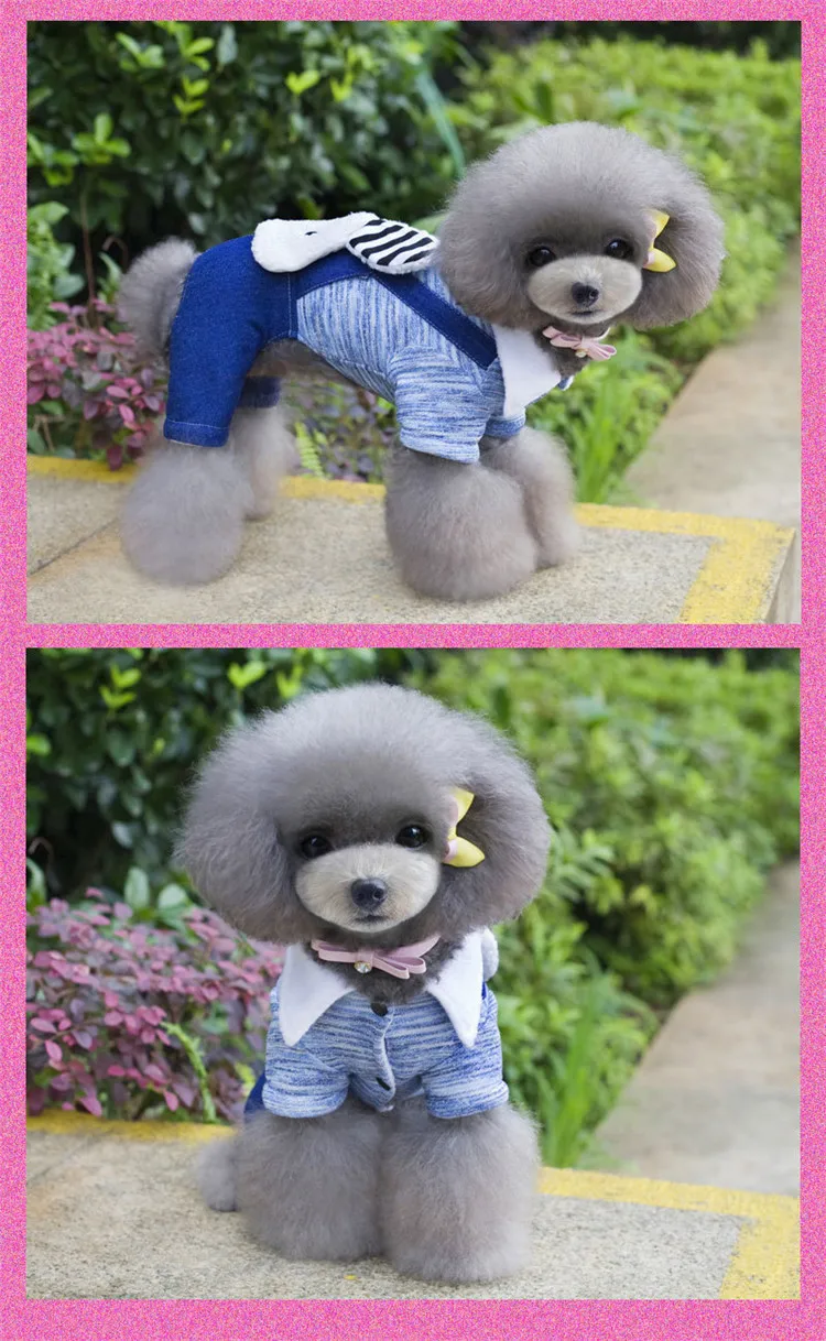  dog clothing 31