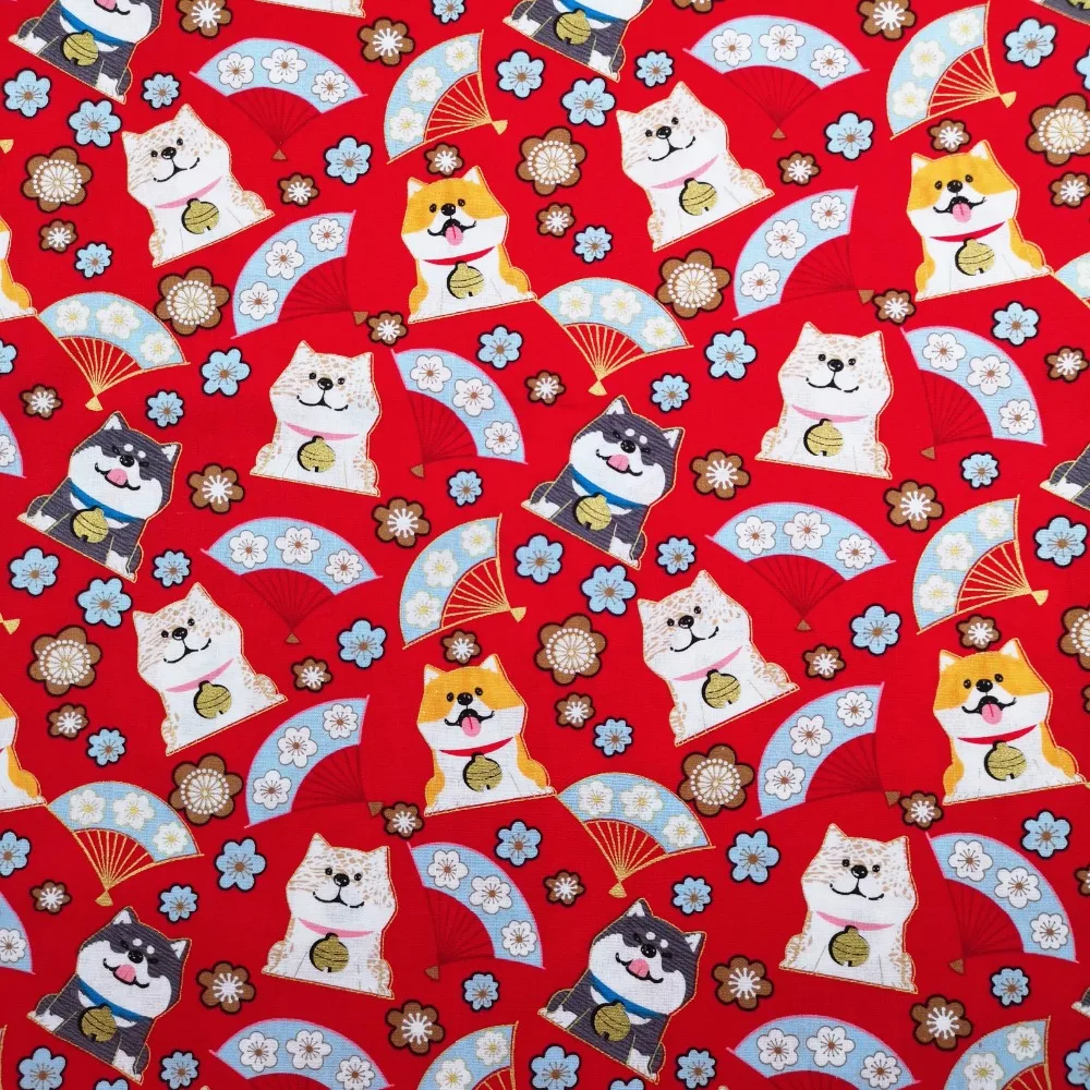 B612Kaji_20190121_140837_243