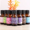 10ml Essential Oils 100% Pure Natural For Diffuser Burner Organic Body Relax Skin Care Air Freshening Humidifier Oil  TSLM1 ► Photo 1/6