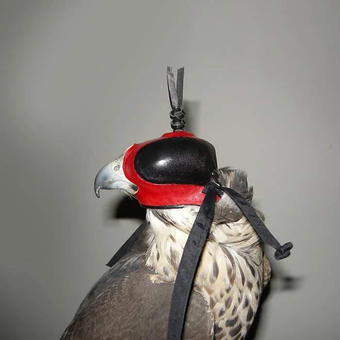 

Falconry Hound Arabic Eagle Hat Merlin Eurasian Kestrel Saker Falcon Falco Peregrinus Genuine Leather Comfortable Soft Eyeshades