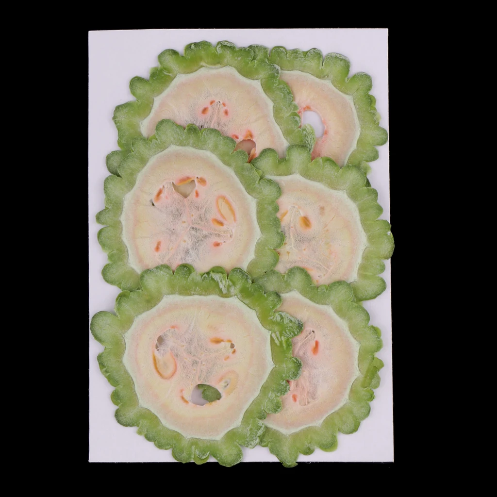 6 Piece Dried Vegetable Bitter Gourd Slice Christmas Craft Wreath Decoration